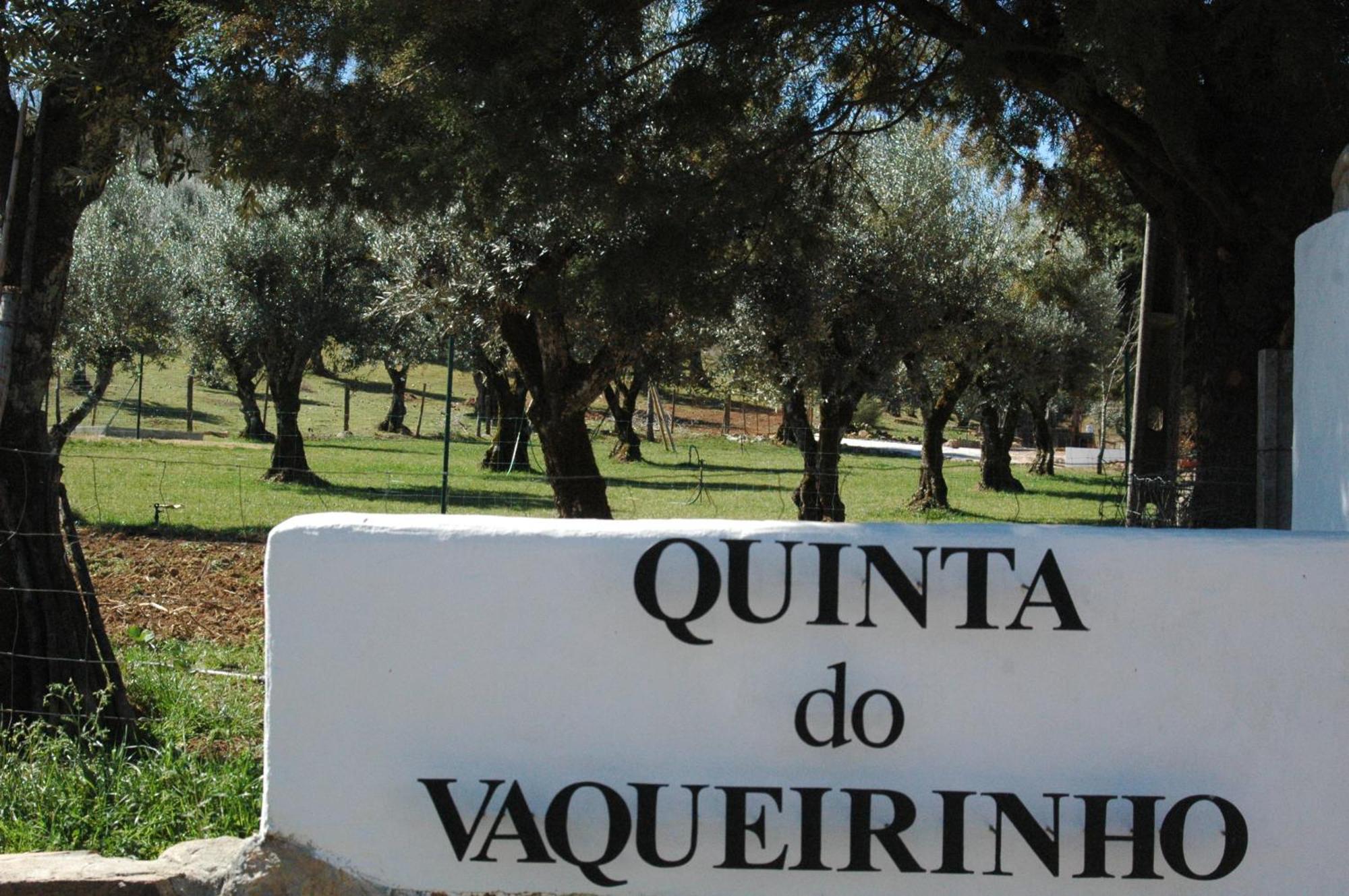 Quinta Do Vaqueirinho - Agro-Turismo Villa Marvão Dış mekan fotoğraf