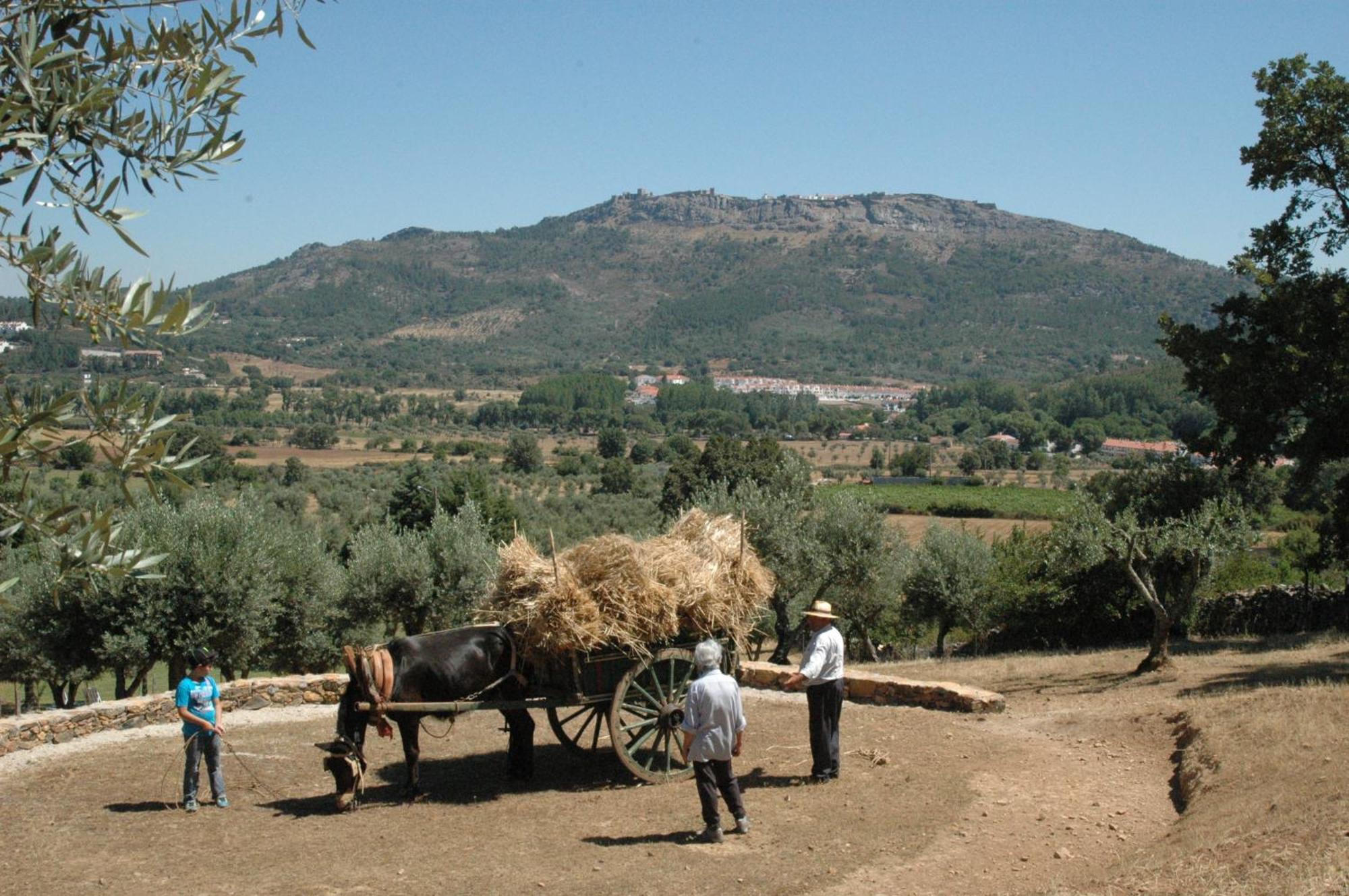 Quinta Do Vaqueirinho - Agro-Turismo Villa Marvão Dış mekan fotoğraf
