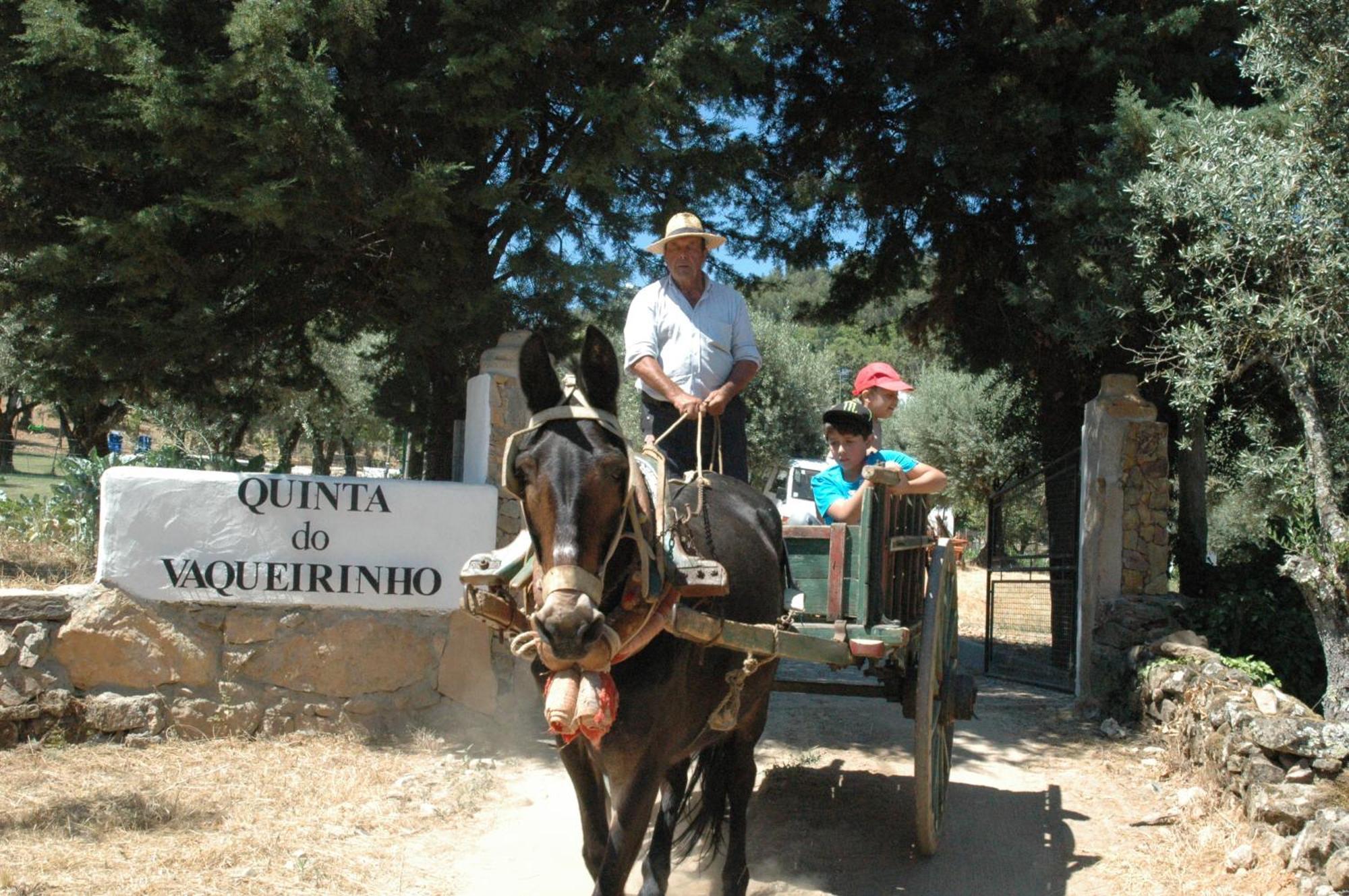 Quinta Do Vaqueirinho - Agro-Turismo Villa Marvão Dış mekan fotoğraf