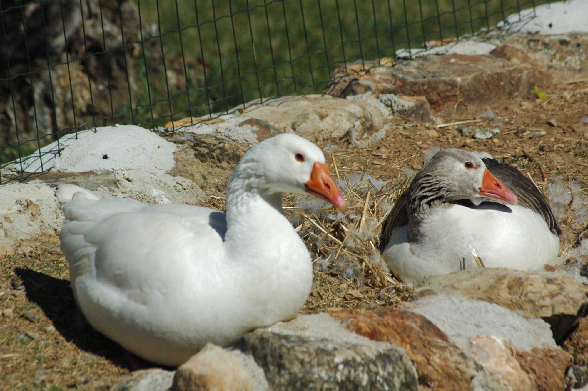 Quinta Do Vaqueirinho - Agro-Turismo Villa Marvão Dış mekan fotoğraf