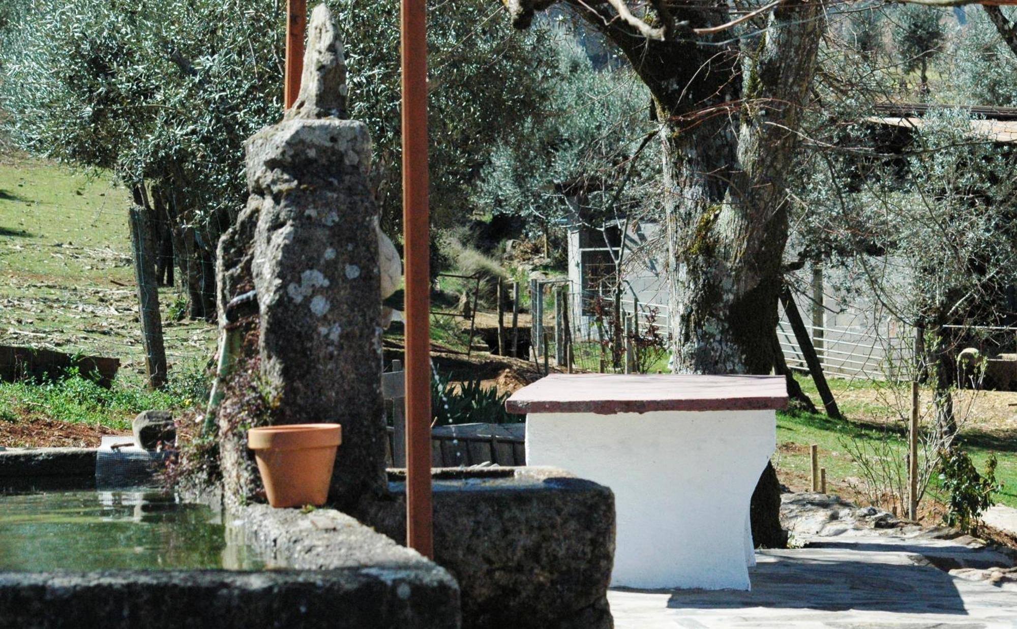 Quinta Do Vaqueirinho - Agro-Turismo Villa Marvão Dış mekan fotoğraf