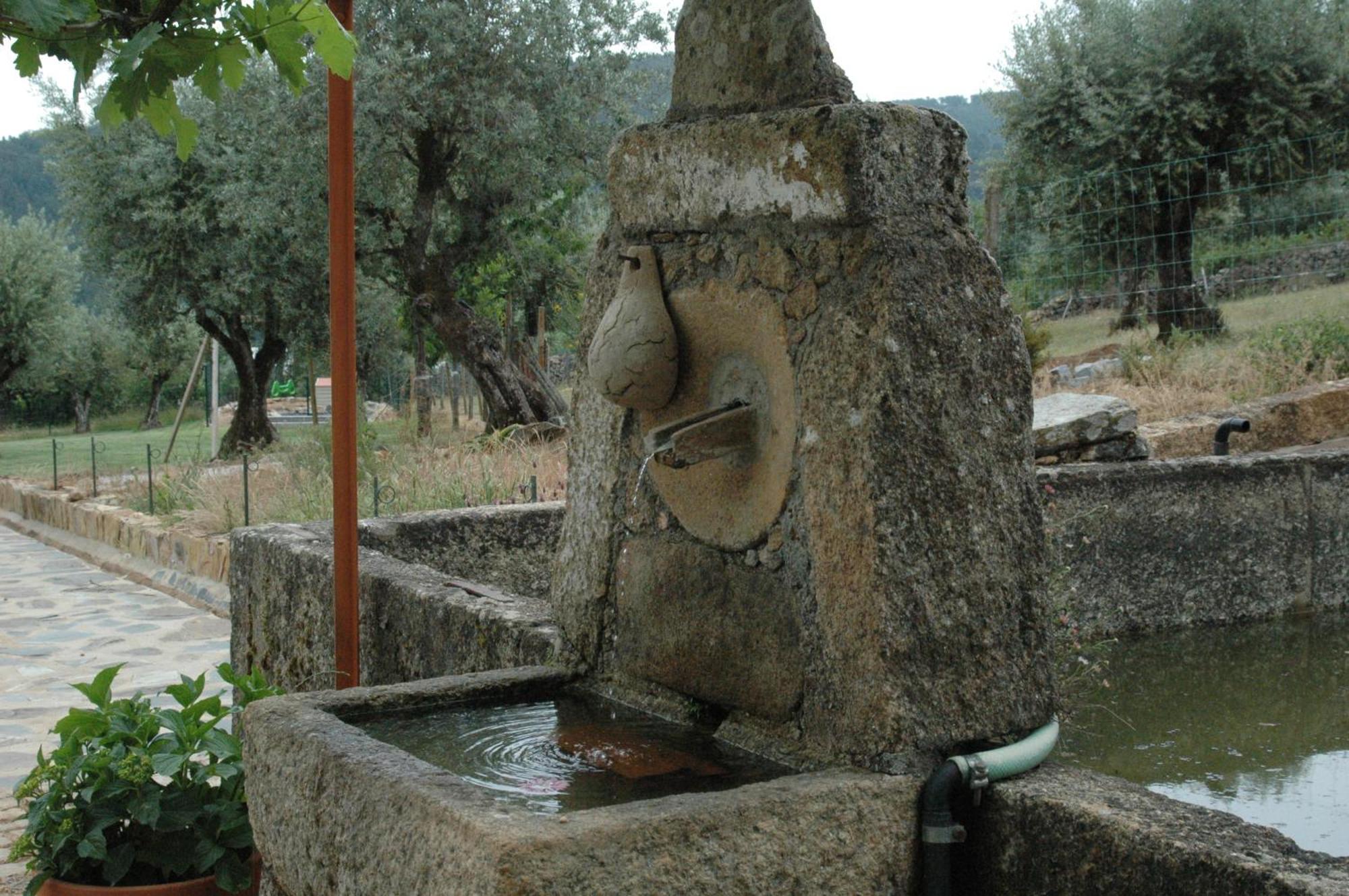 Quinta Do Vaqueirinho - Agro-Turismo Villa Marvão Dış mekan fotoğraf