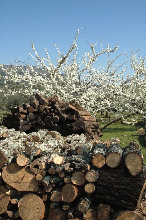 Quinta Do Vaqueirinho - Agro-Turismo Villa Marvão Dış mekan fotoğraf